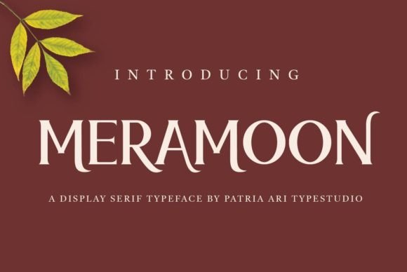 Download Meramoon - Premium Bundle